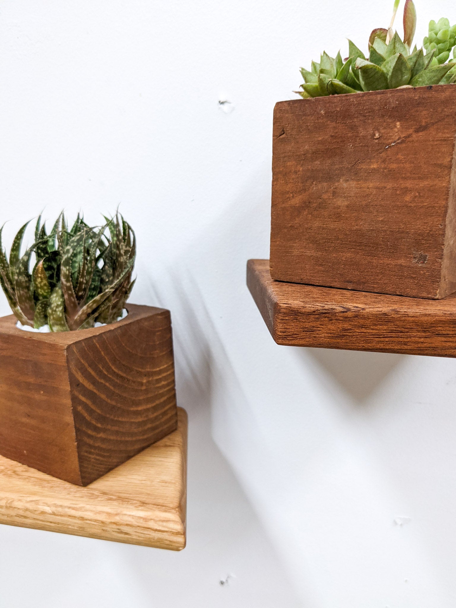 Stylish Oak Rhombus Display Shelf - Perfect for Home Decor, Books & Collectibles | Small Wall Shelf for Living Room, Bedroom & Office