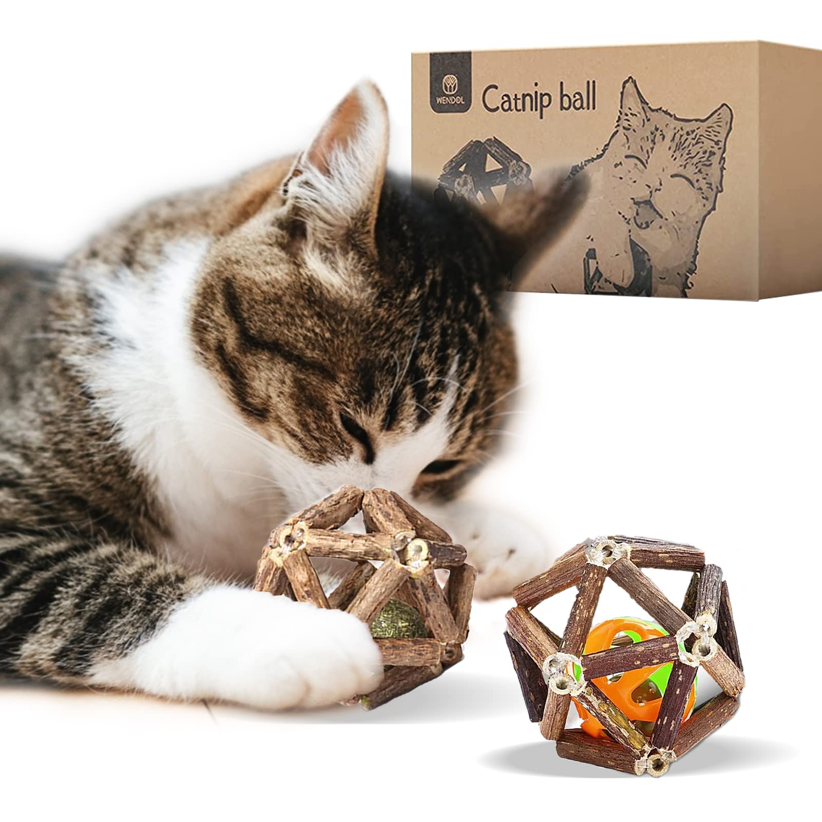 2 Pack Cat Chew Toys with Catnip & Silvervine - WenStorm Natural Dental Cleaning Balls for Cats, Stress Relief Kitty Toys with Bell for Indoor Play and Teeth Health
