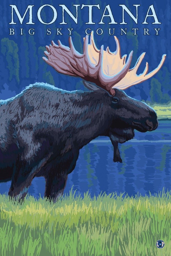 Montana Big Sky Country Moose in Moonlight - Signed 24x36 Art Print Poster | Wildlife Wall Decor for Living Room, Cabin & Office