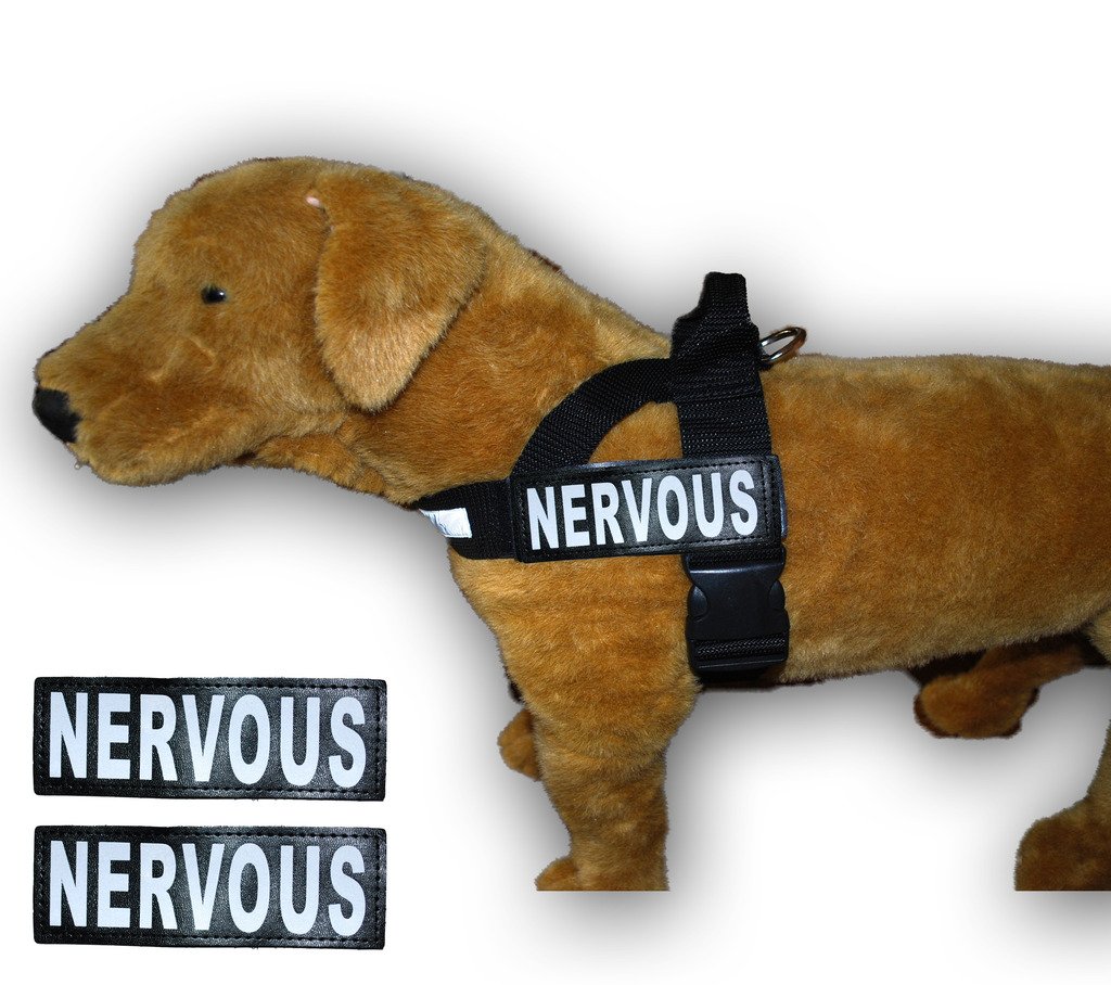 Nervous Service Dog Harness - No Pull Nylon Guide Assistance Vest with 2 Reflective Removable Patches | Perfect for Anxious Pets, Therapy Work & Public Outings | Measure Your Dog Before Ordering