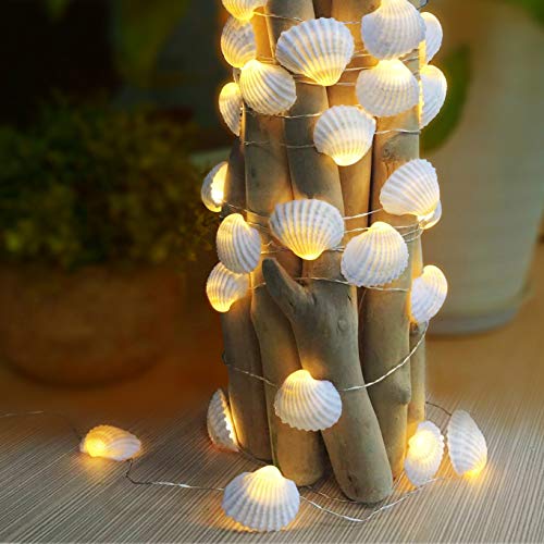 Warm white LED Shell lights