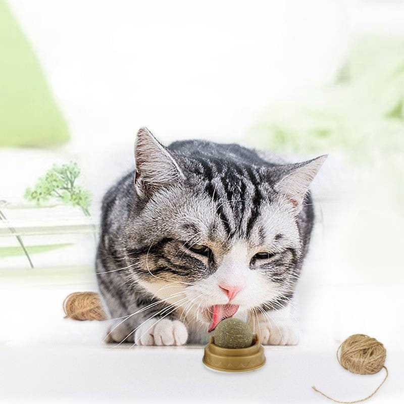 Organic Hypoallergenic Catnip Ball Toy for Cats - Fun Interactive Play & Stress Relief for Indoor Kitties