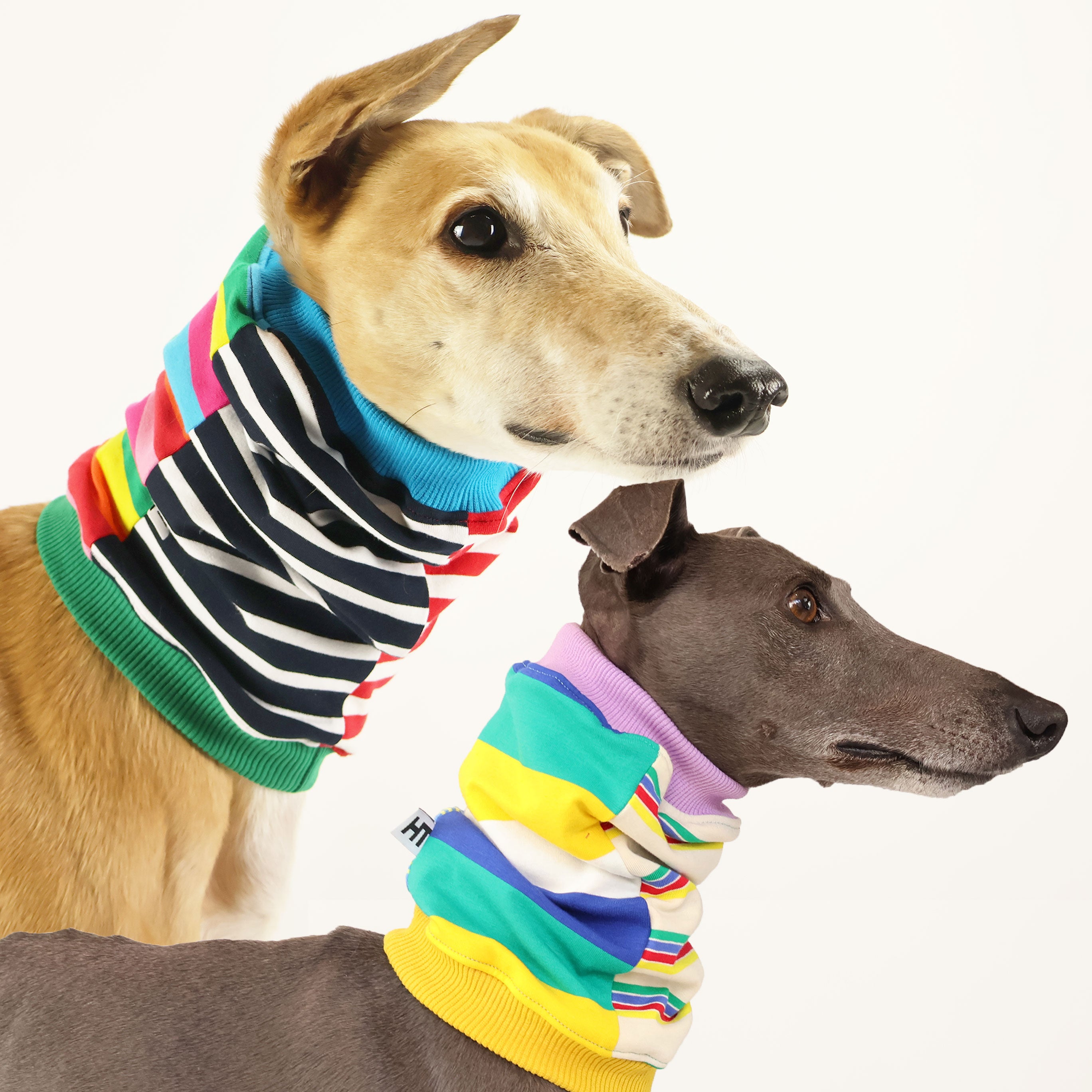 Frankie Greyhound Snood - Cozy Dog Neck Warmer for Greyhounds & Sighthounds | Winter Accessory for Cold Weather & Outdoor Adventures