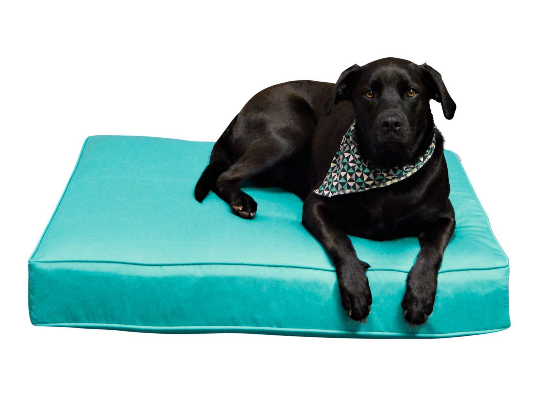 Premium Sunbrella Canvas Luxury Pet Bed - Waterproof, Durable & Comfortable Dog Bed for Large Breeds - Perfect for Indoor, Outdoor & Travel Use