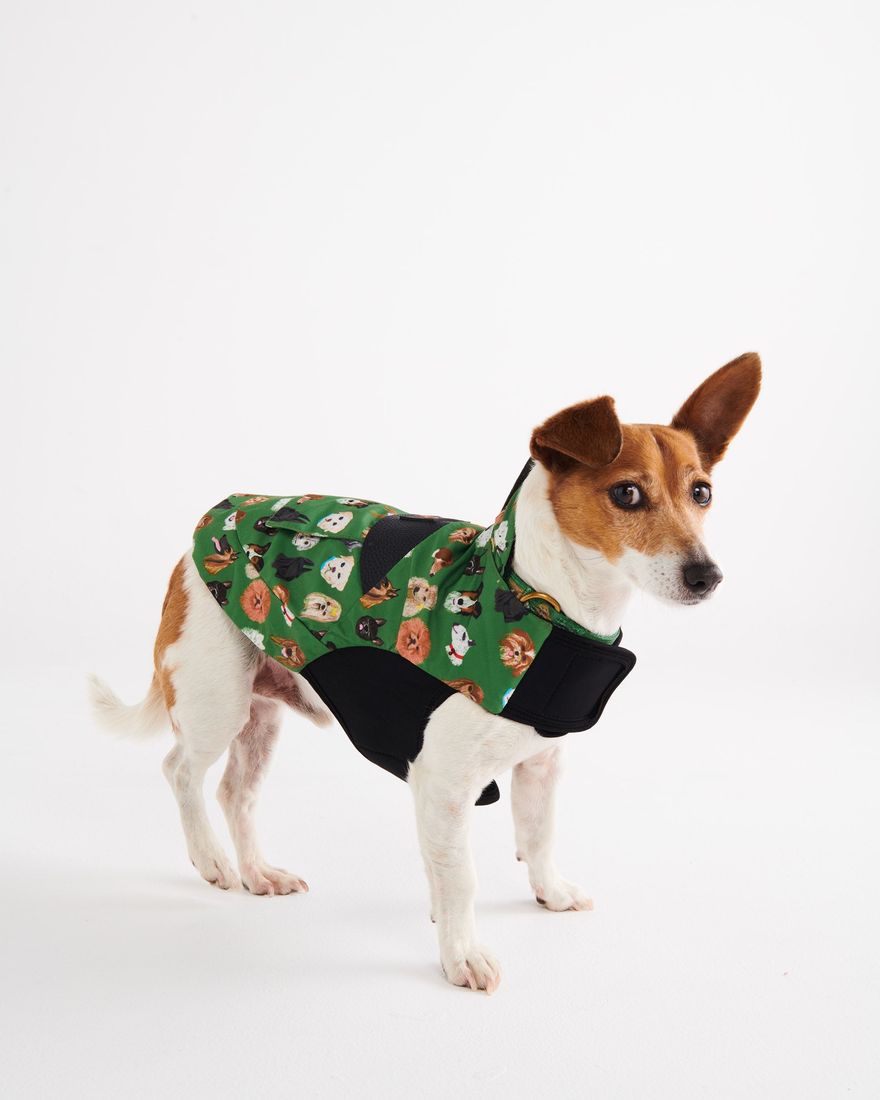 Waterproof Reflective Dog Jacket for Small & Large Breeds - Lightweight & Warm Winter Coat for Outdoor Adventures, Hiking, and Dog Park Playtime