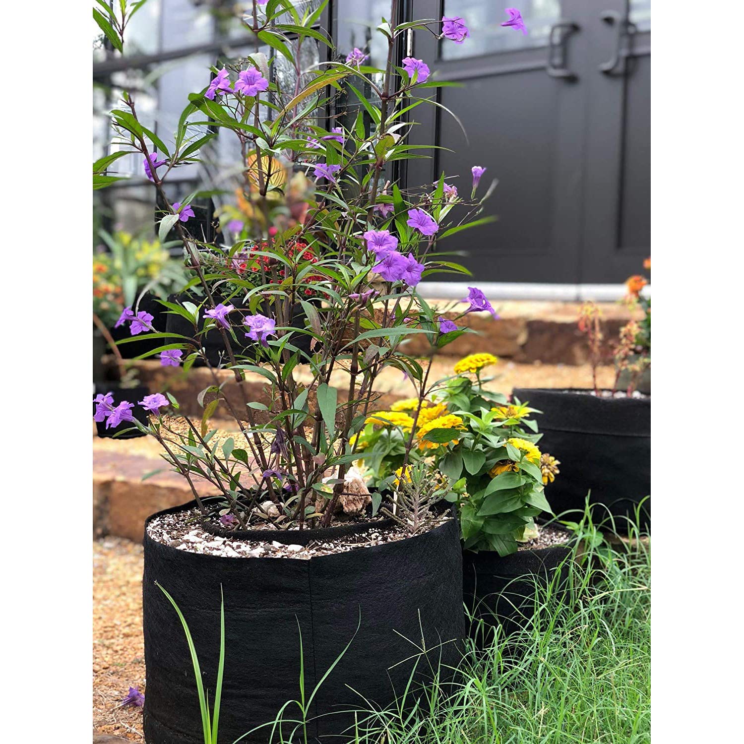 30-Gallon Smart Pot Soft-Sided Fabric Container - Aeration Plant Grow Bag for Vegetables, Flowers & Herbs | Indoor & Outdoor Gardening, Raised Bed Alternative, Durable & Reusable Black Planter
