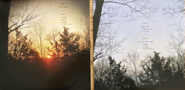MV & EE - Green Ark Limited Edition 2xLP Vinyl Album (Mint Condition) - Perfect for Vinyl Collectors & Indie Music Lovers