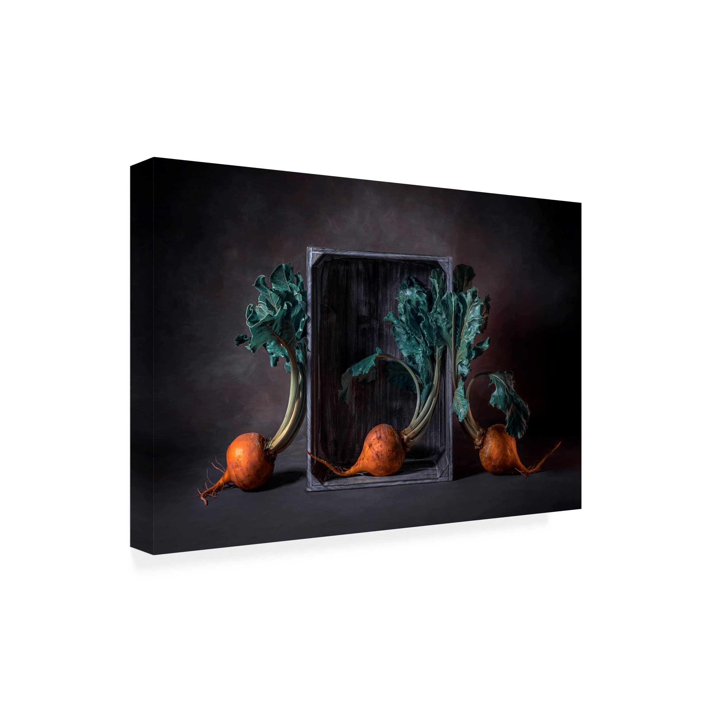 Lydia Jacobs 'Three Beets' Canvas Art Print - Modern Botanical Wall Decor for Living Room, Bedroom & Office - Trademark Fine Art Collection