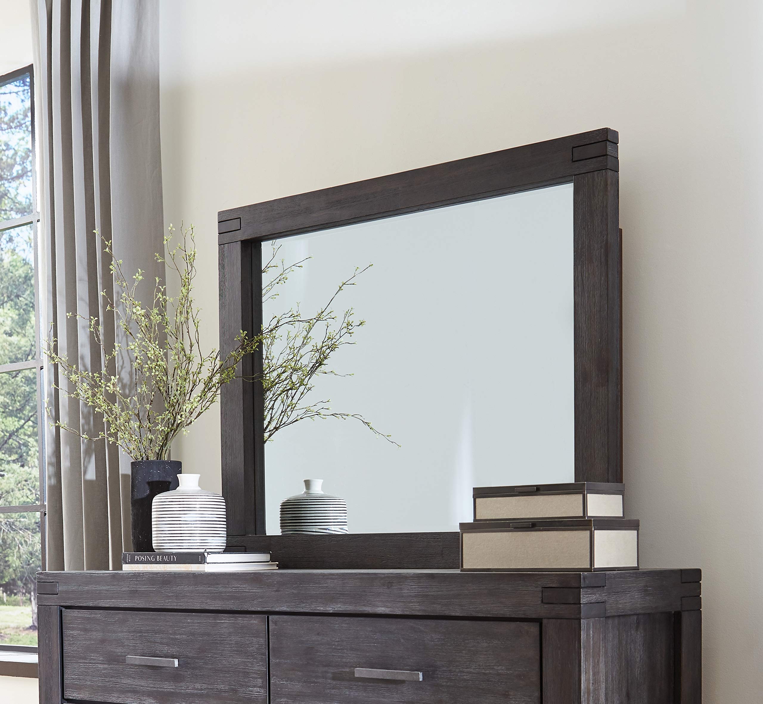 Modus Meadow Mirror - Graphite Finish, Modern Wall Mirror for Living Room, Bedroom, or Entryway Decor