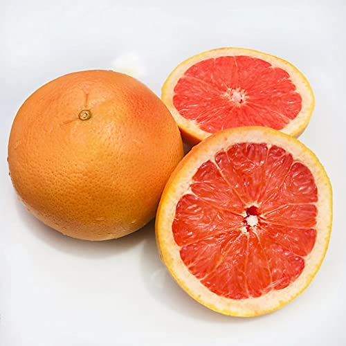 Fresh Ruby Red Grapefruit - 5 lbs | Sweet & Juicy Citrus Fruit for Breakfast, Juicing & Healthy Snacks