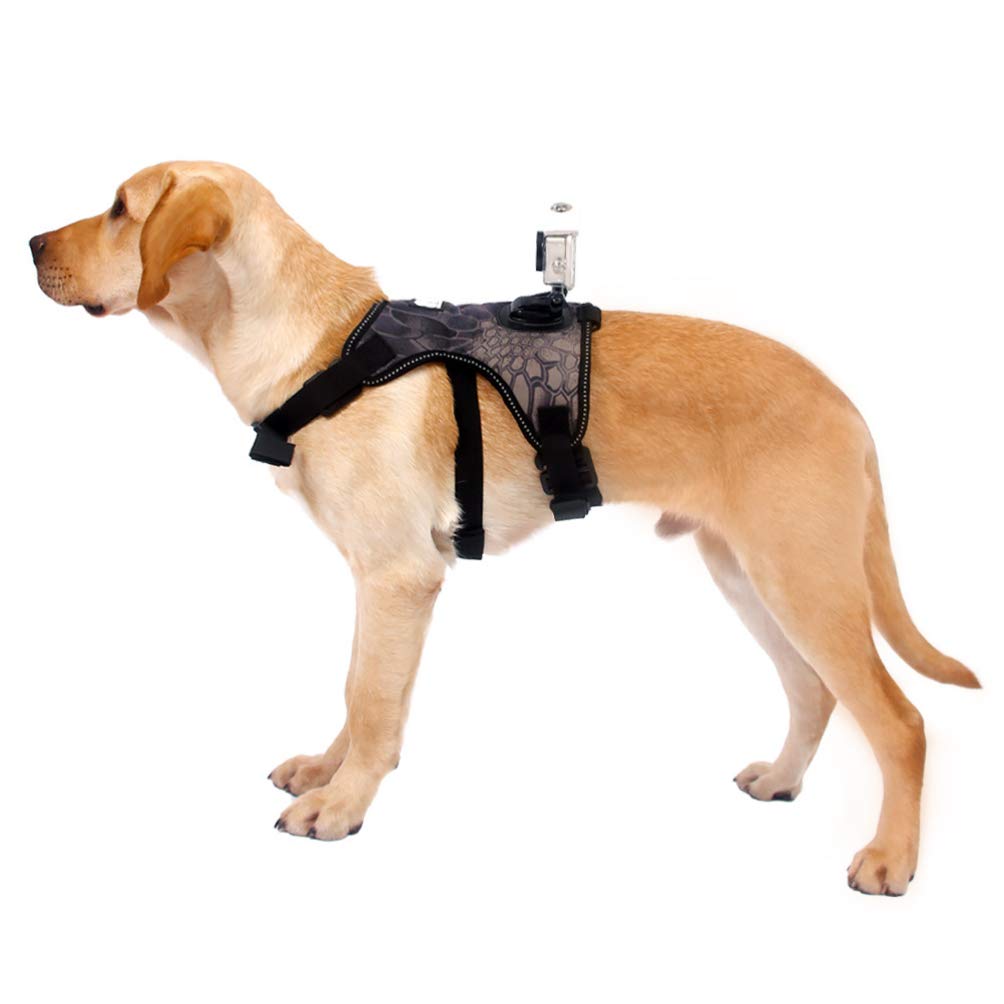 Balacoo Dog Fetch Harness with Camera Mount - Adjustable Puppy Vest for Small Dogs, Outdoor Dog Walking Belt & Treat Dispenser - Perfect for Hiking, Training, and Adventure Photography