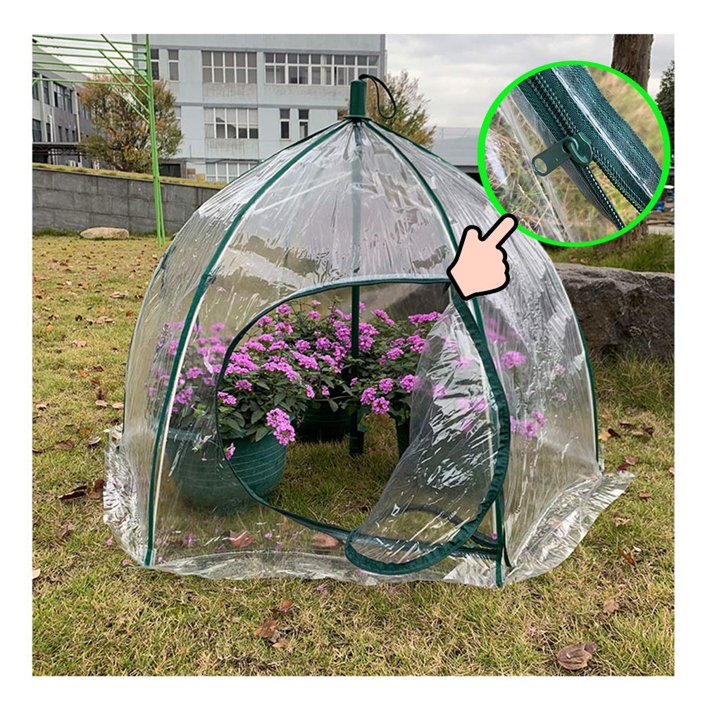 Gzhenh Mini Greenhouse - Portable Foldable Plastic Insulation Shed for Gardening, UV & Bird Protection (105x78cm, Clear, 2-Pack) - Perfect for Outdoor Plant Protection, Seed Starting & Small Space Gardening