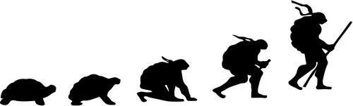 Crazydecals Evolution Ninja Turtles Vinyl Decal Sticker - Waterproof Car Window, Bumper, Truck, Wall Decor - Perfect for Teen Room, Gaming Setup & Turtle Lovers