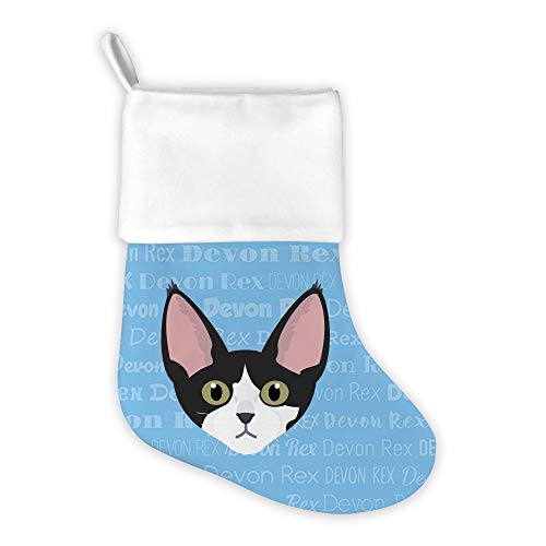 Devon Rex