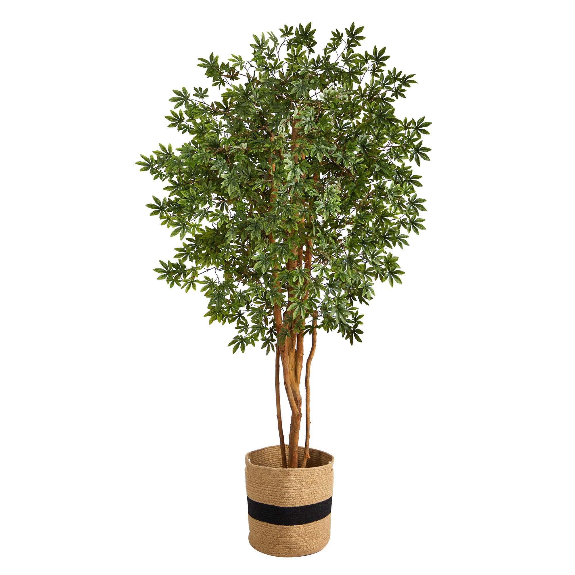Nearly Natural 6ft Japanese Maple Artificial Tree in Handmade Cotton Planter - Realistic Faux Plant for Home Office Decor, Living Room, Bedroom & Indoor Spaces