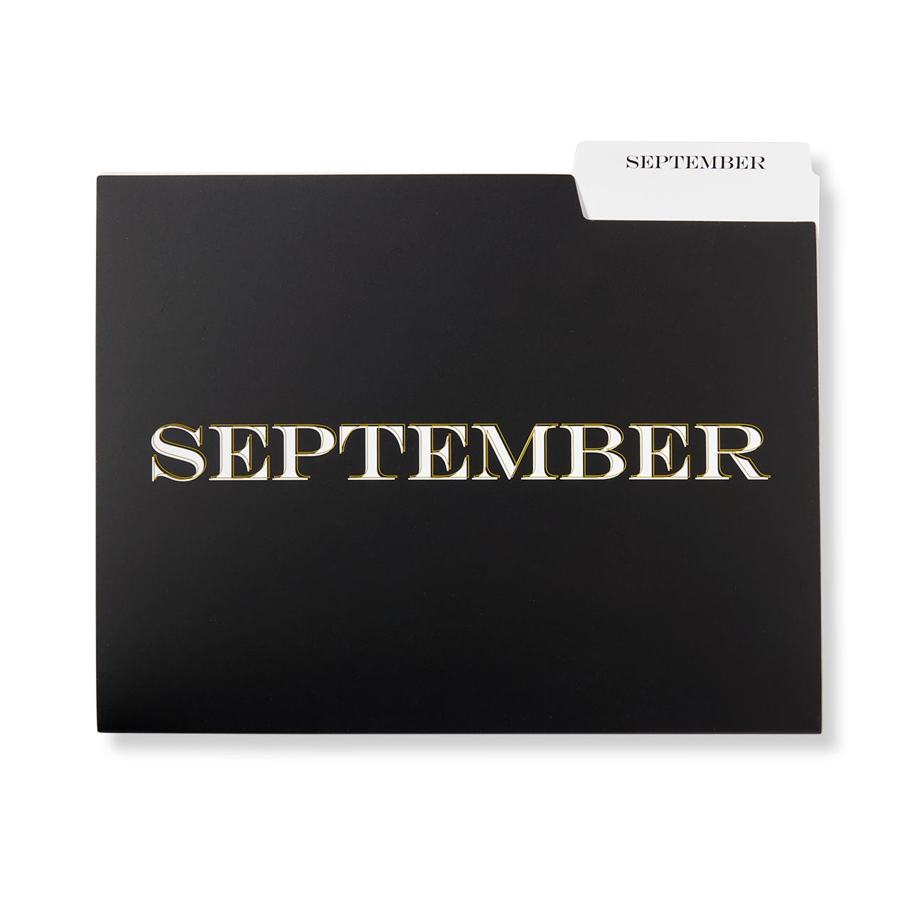 Avant Garde Monthly File Folders - Set of 12, Letter Size, Hanging & Expanding File Folders for Office Organization - Perfect for Monthly Billing, Tax Documents & Home Office Filing