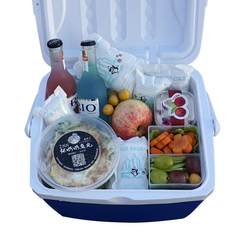 Reusable Dry Ice Packs for Shipping - 48 Pack Bulk Frozen Food Cooler Ice Sheets | Long Lasting Cold Packs for Food & Drinks | Perfect for Meal Prep, Camping & Grocery Delivery