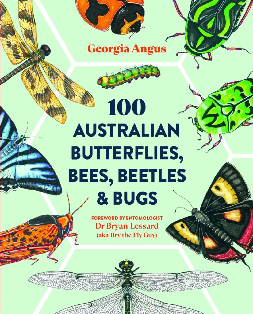 100 Australian Butterflies, Bees, Beetles & Bugs - Stunning Insect Collection for Nature Lovers, Educational Display & Home Decor
