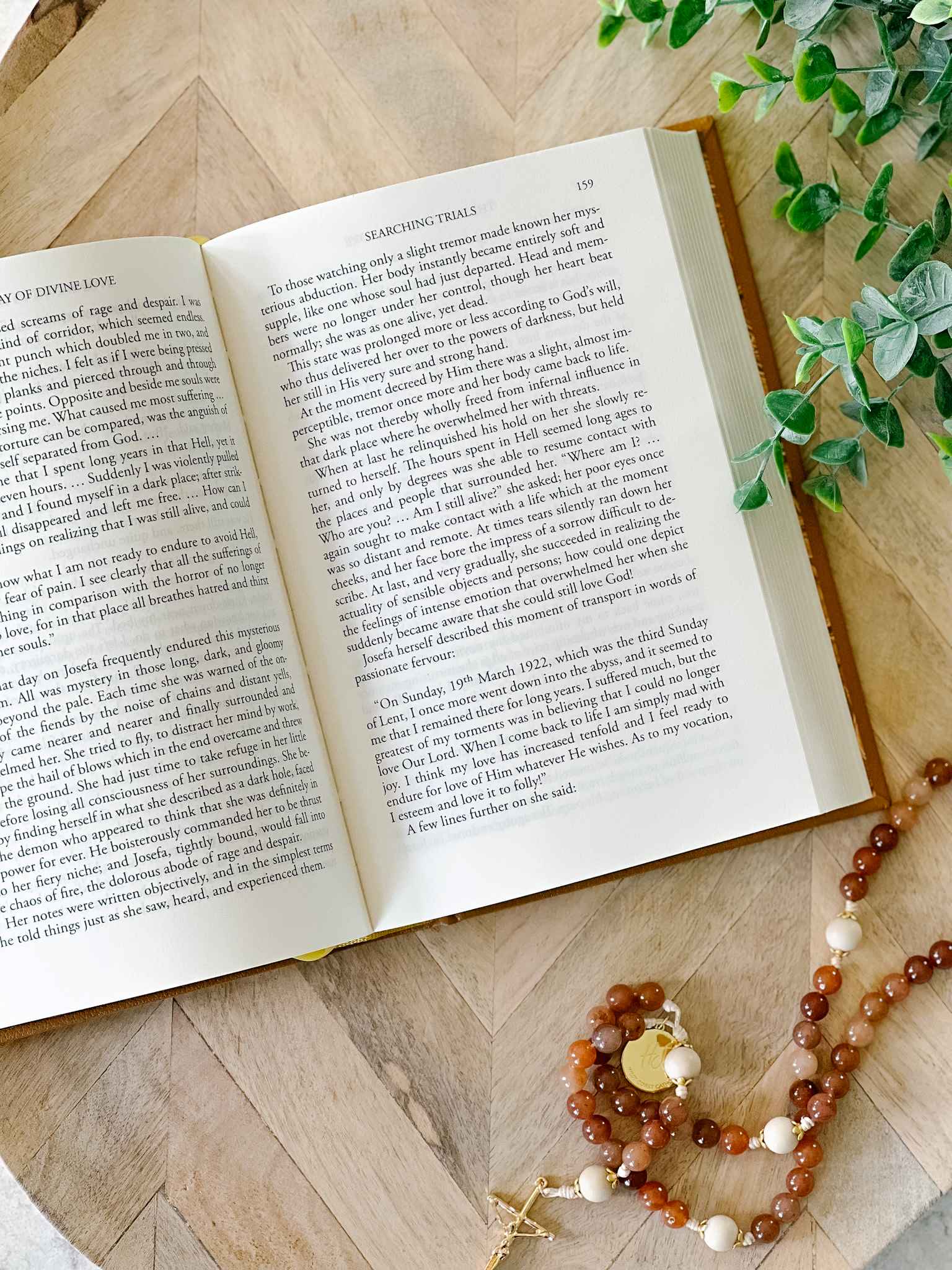 The Way of Divine Love - Spiritual Growth & Christian Devotional Guide for Daily Prayer & Meditation | Perfect for Bible Study, Church Groups & Personal Faith Journey