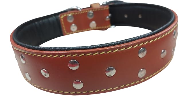 Premium Genuine Leather Dog Collar - Heavy Duty Padded & Adjustable Pet Collar with Studs for Small, Medium & Large Dogs - Perfect for Daily Walks, Training & Outdoor Adventures