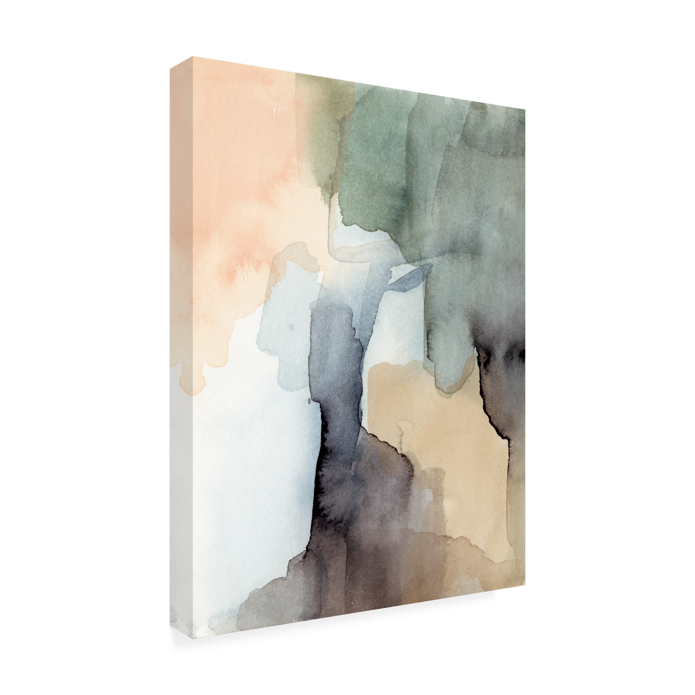Victoria Barnes 'Nectar III' Floral Canvas Wall Art Print - 35x47 Inches Framed Home Decor for Living Room, Bedroom & Office | Trademark Fine Art Collection