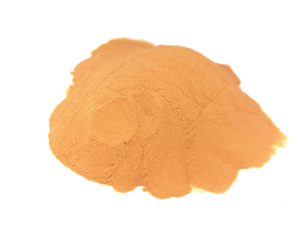 Nashville Hot Chicken Sauce Powder - 3 oz (85g) Spicy Seasoning for Wings, Fried Chicken & BBQ - Plastic Jar for Easy Storage & Use