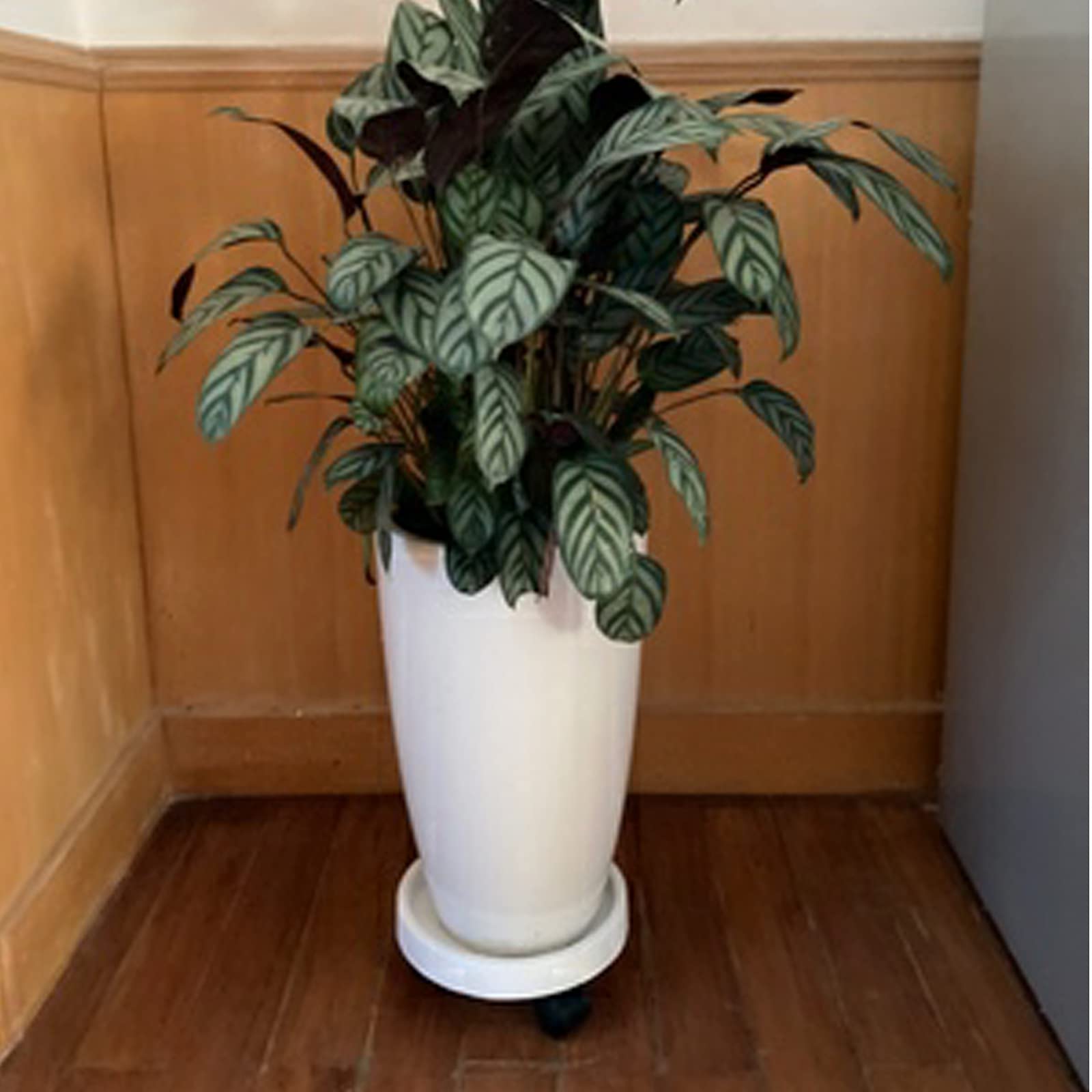 2 Pack Heavy Duty 14 Inch Plant Caddy with Wheels - Rolling Plant Stand, Pot Trolley with Casters - Wheeled Planter Saucer Tray for Indoor & Outdoor Use - Perfect for Moving Potted Flowers, Herbs, and Small Trees