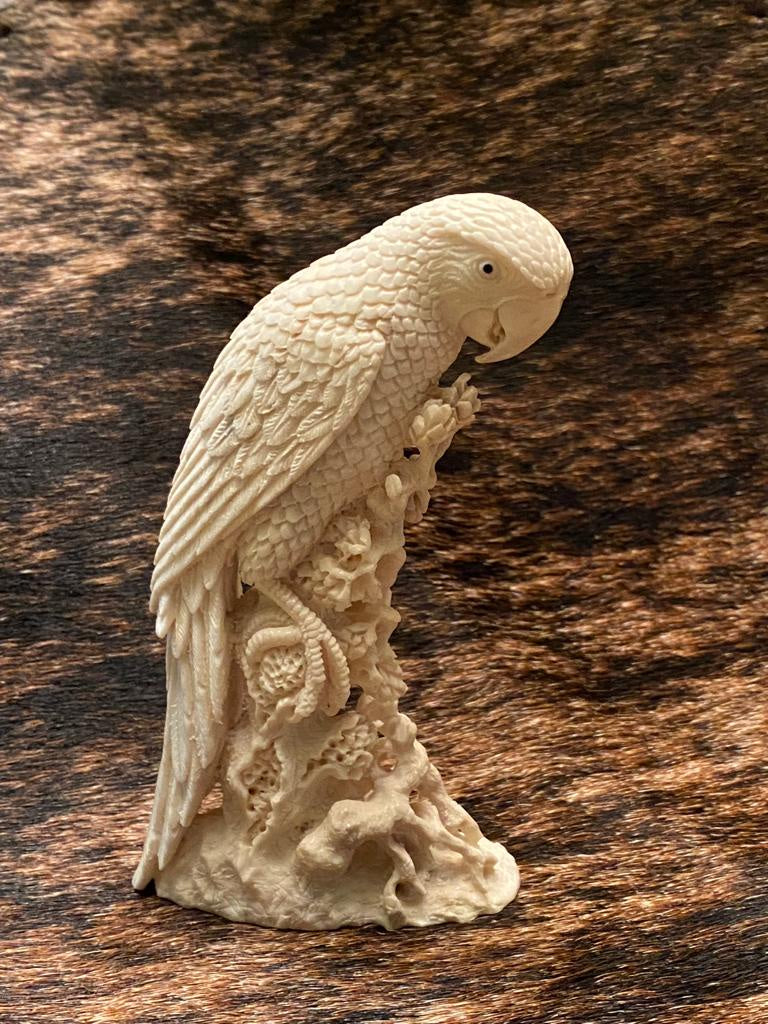 Parrot - Colorful Talking Pet Bird for Sale | Perfect for Home Companionship & Entertainment | Best Gift for Bird Lovers