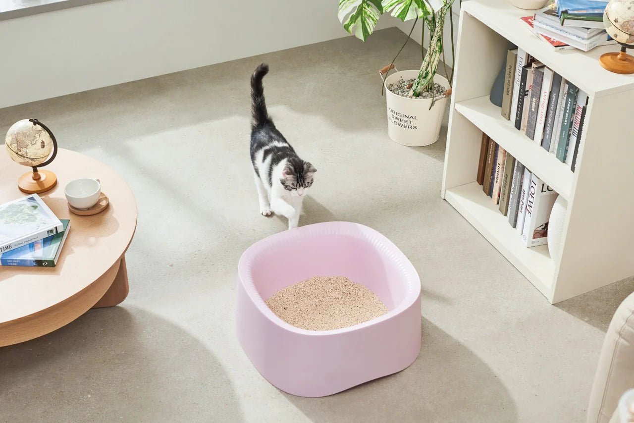 Macaron XL Cat Litter Box with High Walls & Scoop - Extra Large Covered Litter Box for Odor Control - Perfect for Large Cats & Multi-Cat Households