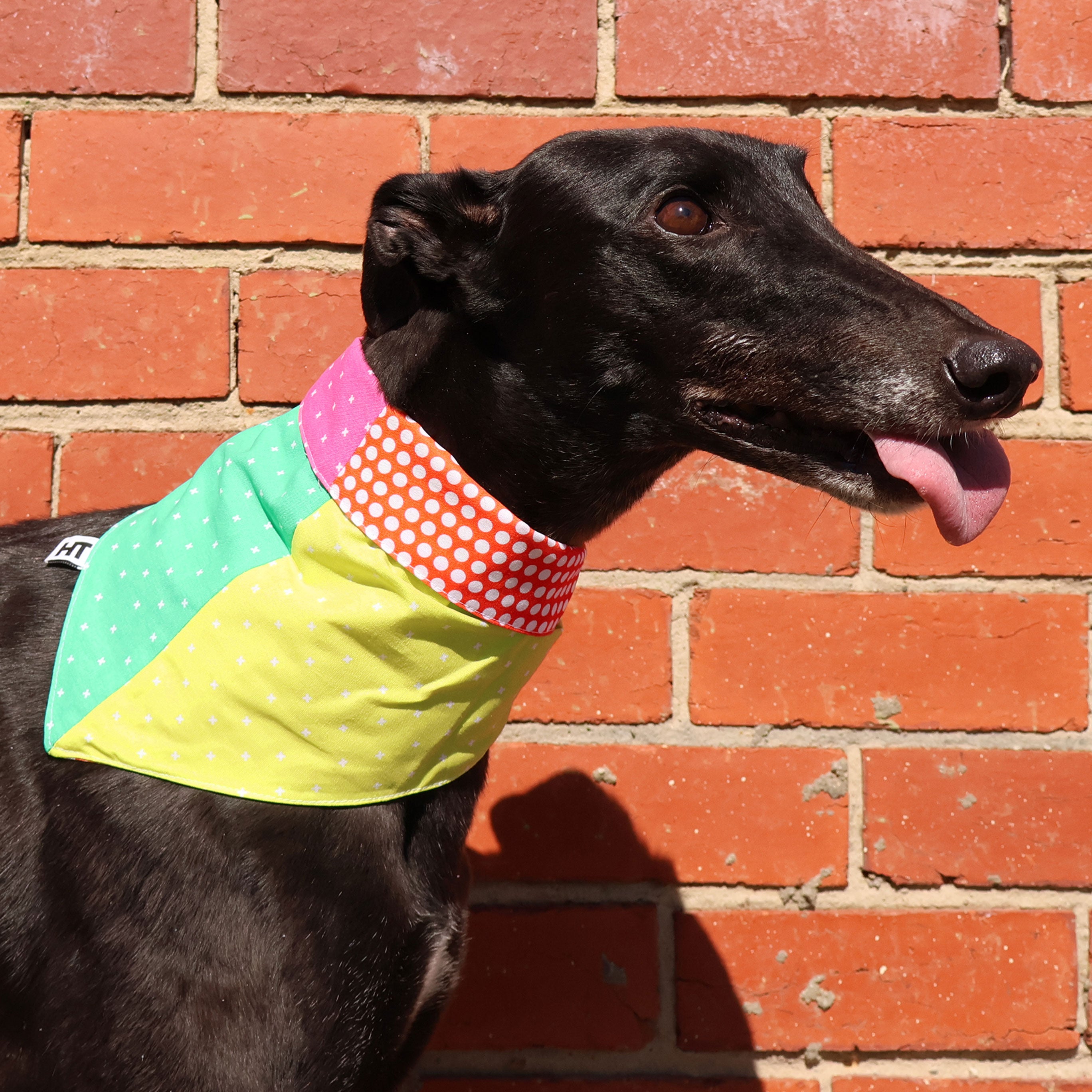 The Frankie Bandana - Stylish and Comfortable Dog Bandana for Small, Medium & Large Breeds - Perfect for Walks, Photos & Special Occasions