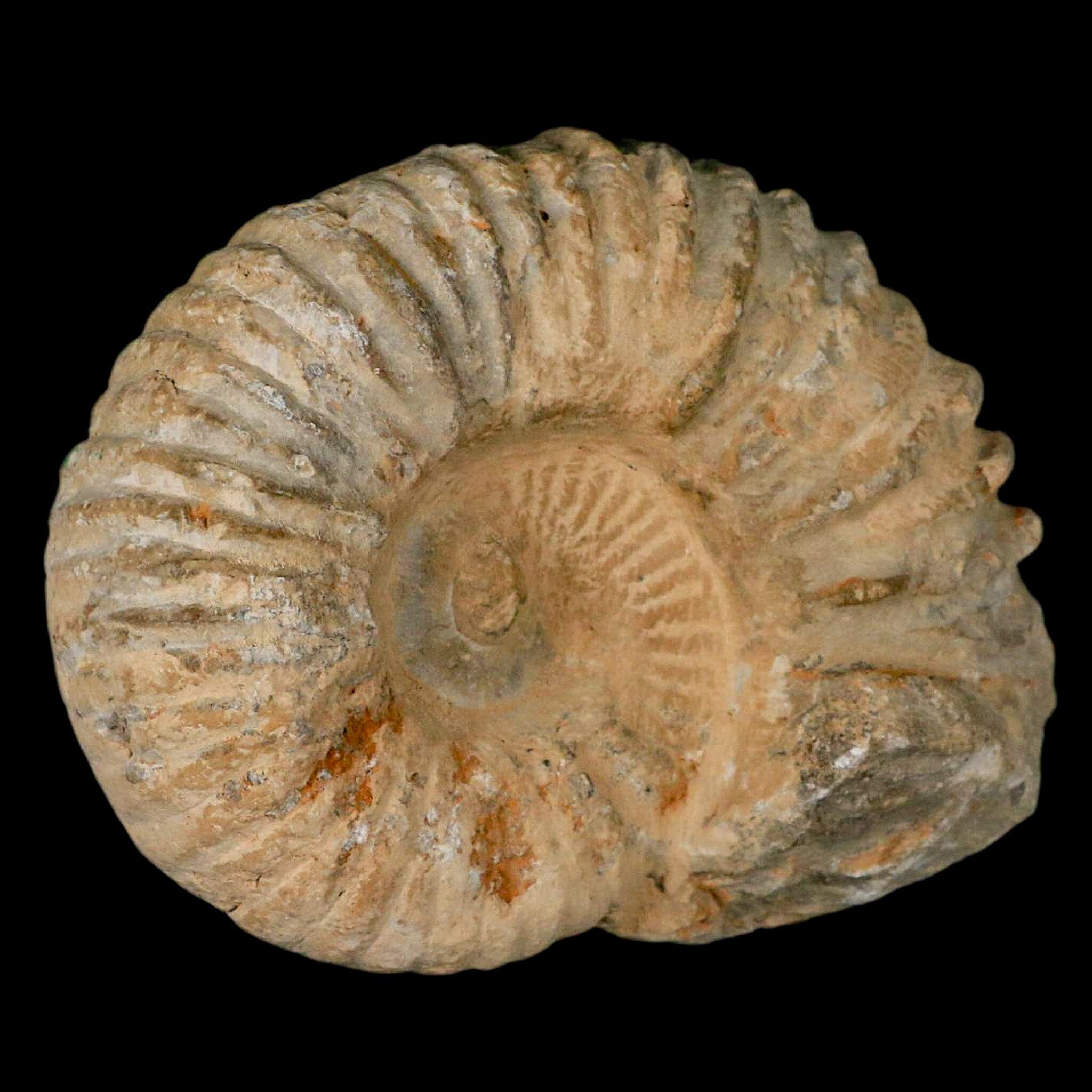 4.5