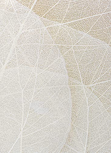 Leaf 01