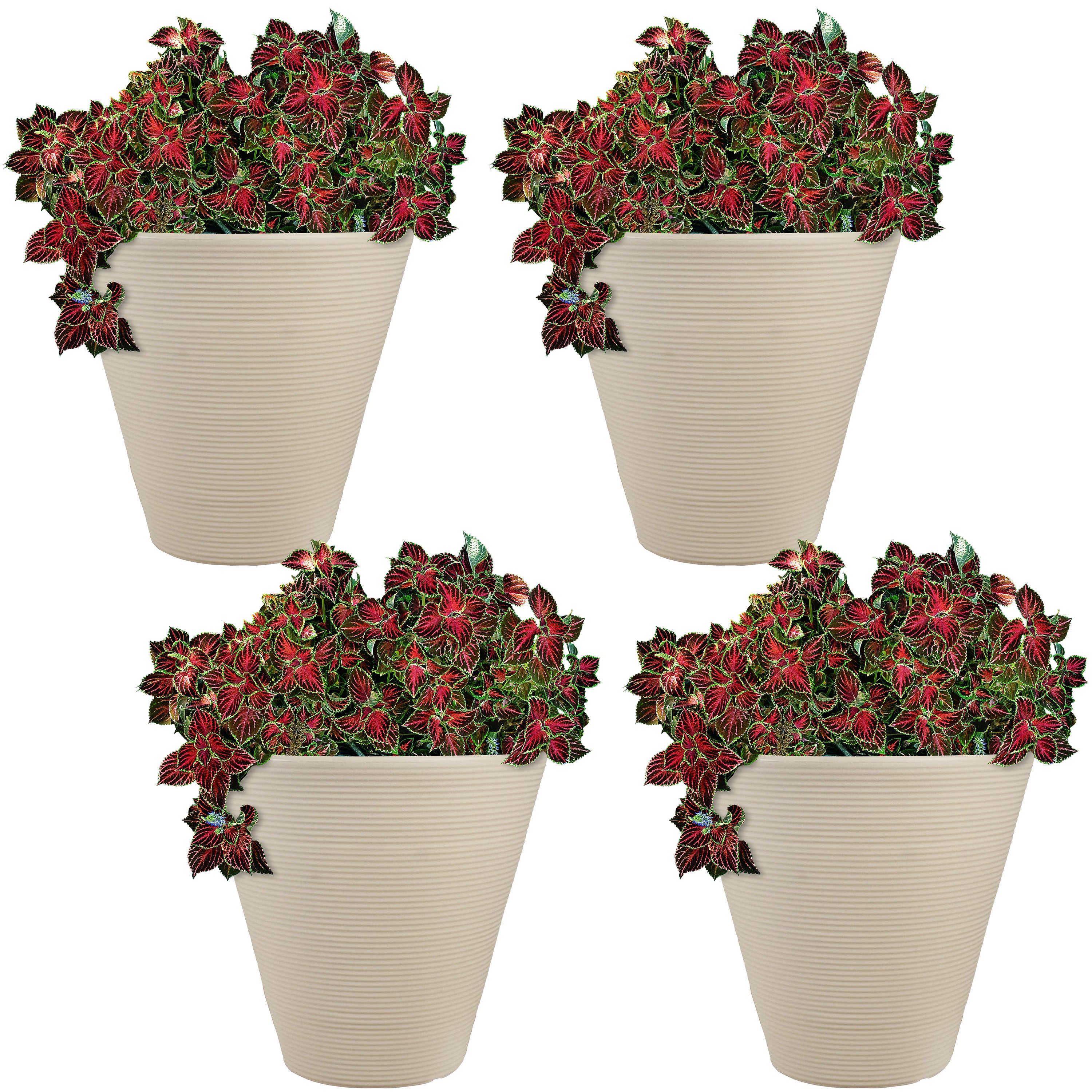 Sunnydaze Walter Outdoor Planter - 15.5 Inch Antique White Flower Pot for Garden, Patio, Balcony & Porch Decor | Weather-Resistant & Durable Design