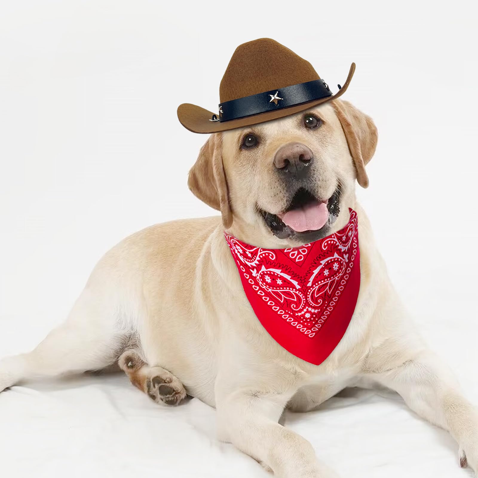 Funny Pet Cowboy Hat & Bandana Costume Set for Dogs & Cats - Western Cowboy Accessories for Halloween, Birthday Parties & Mexican Themed Events - Perfect for Daily Wear & Photo Shoots (Brown)