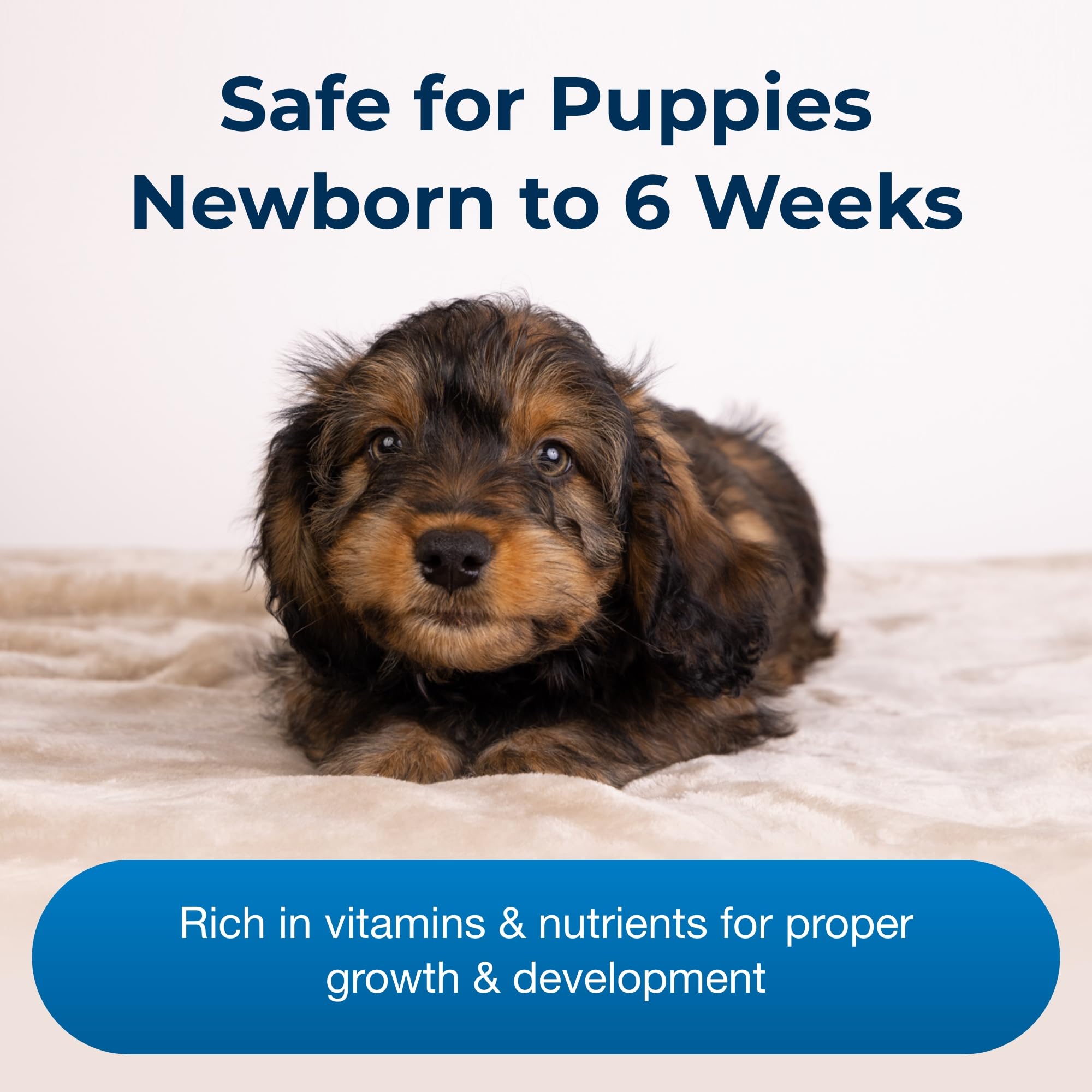 Esbilac Puppy Milk Replacer Liquid - 11oz Ready-to-Feed Formula with Vitamins for Newborn to 6-Week-Old Puppies | Easy Digestible Puppy Milk Supplement | Perfect for Orphaned Puppies, Weaning & Nutritional Support