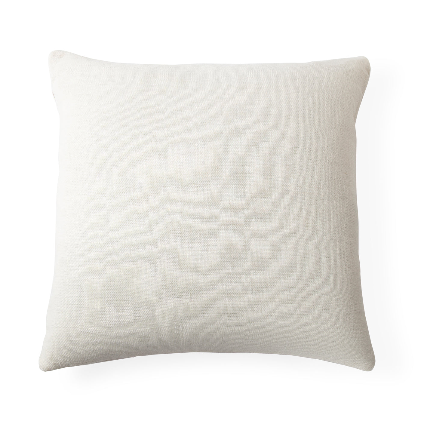 Botanical Specimen Pillow - Decorative Throw Pillow for Home, Office & Dorm - Unique Plant Lover Gift for Nature Enthusiasts
