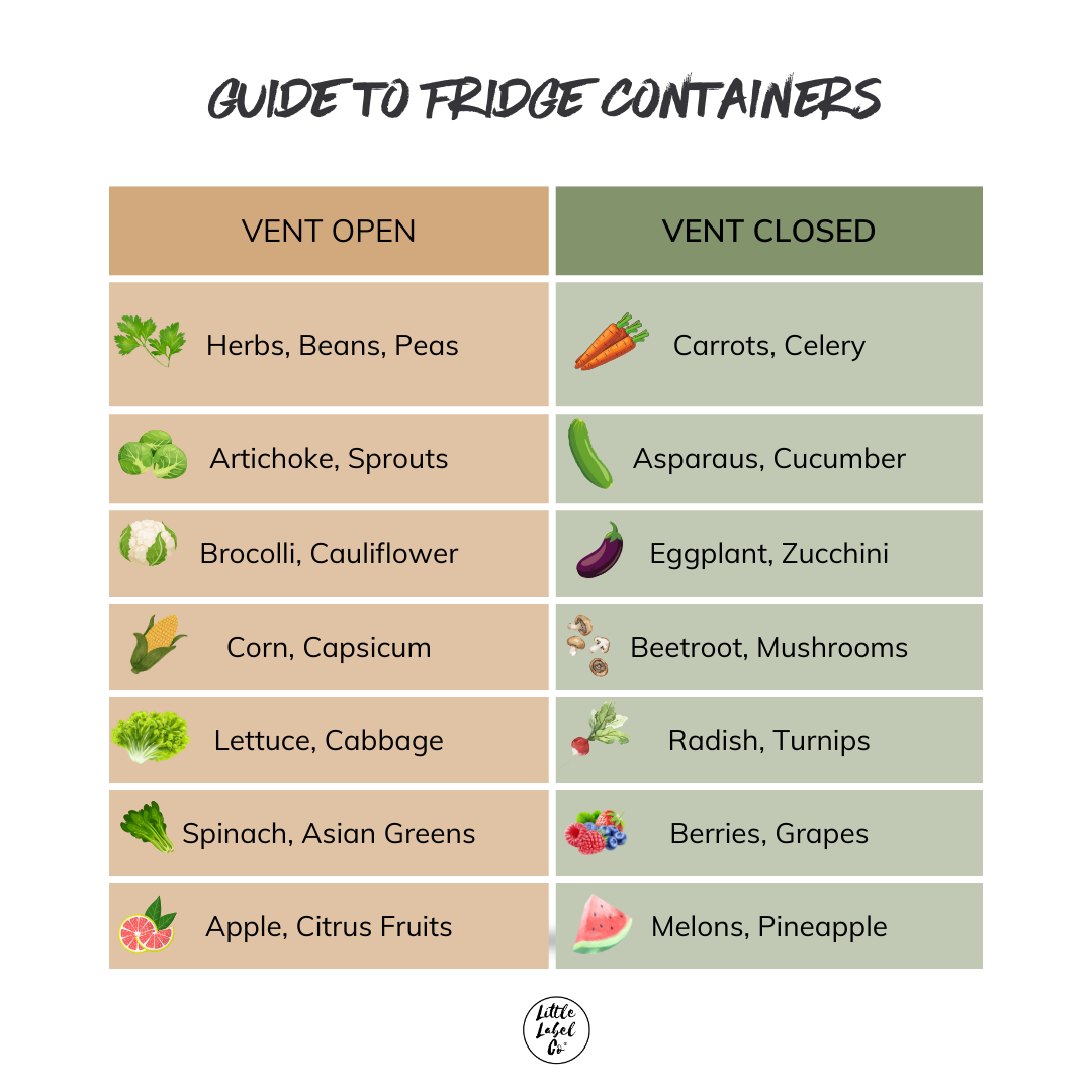 Double Fridge Storage Container with Basket - Organize Food & Leftovers - Perfect for Kitchen, Pantry & Refrigerator Storage