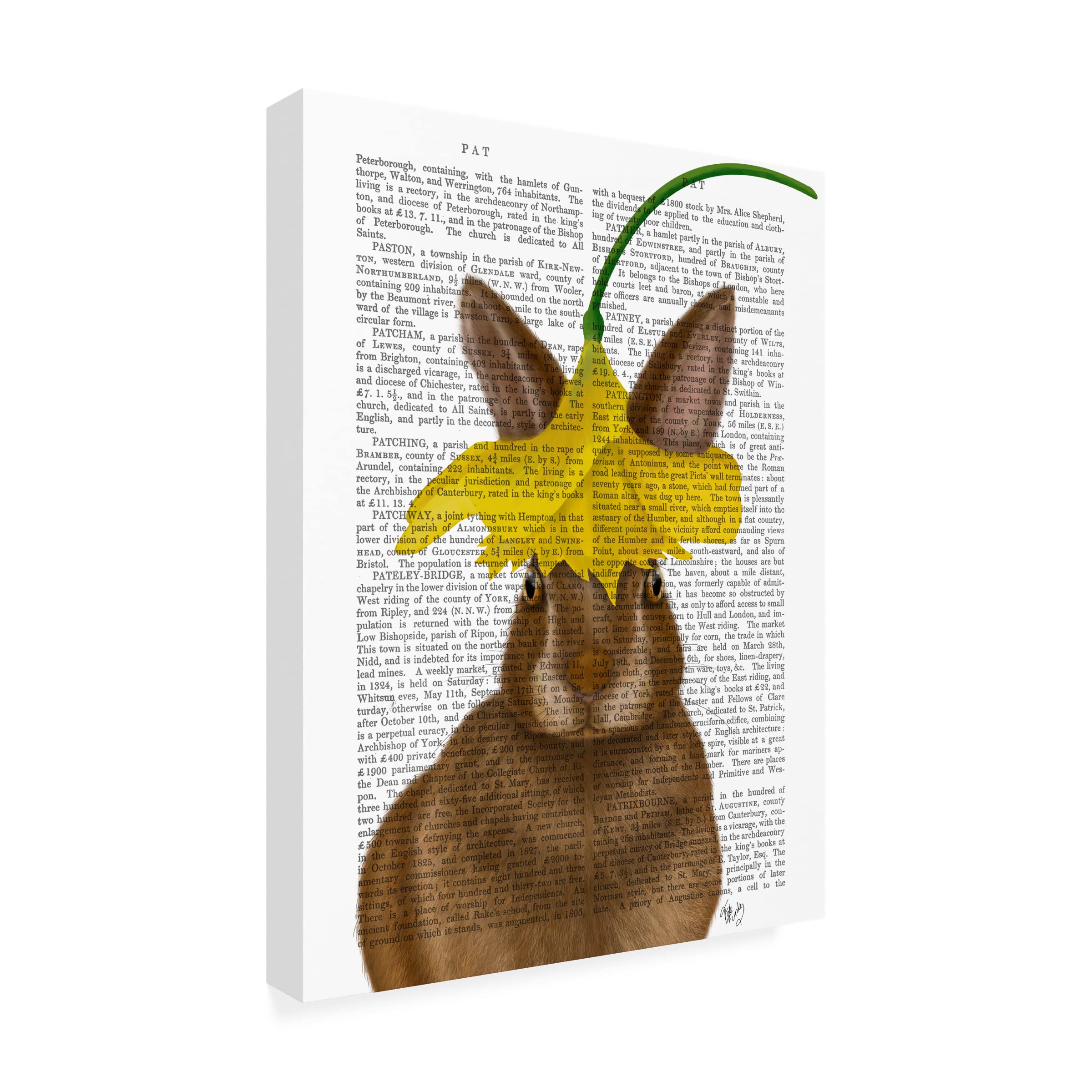 Trademark Fine Art 'Daffodil Rabbit Book Print' Canvas Wall Art by Fab Funky - Perfect for Nursery, Kids Room Decor & Spring Home Decor