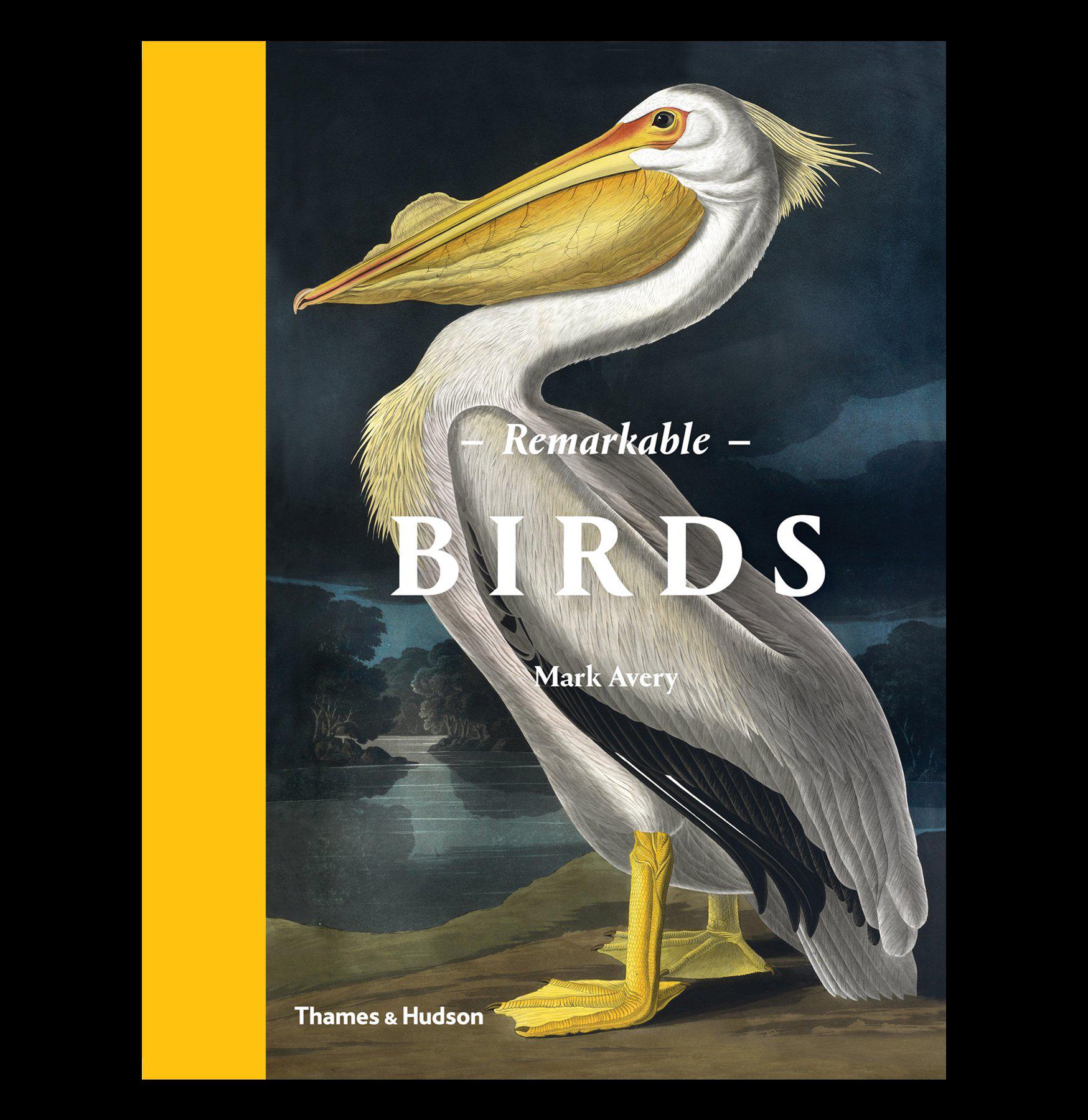 Remarkable Birds - Exotic & Unique Bird Species for Bird Lovers | Perfect for Home Decor, Gifts & Nature Enthusiasts