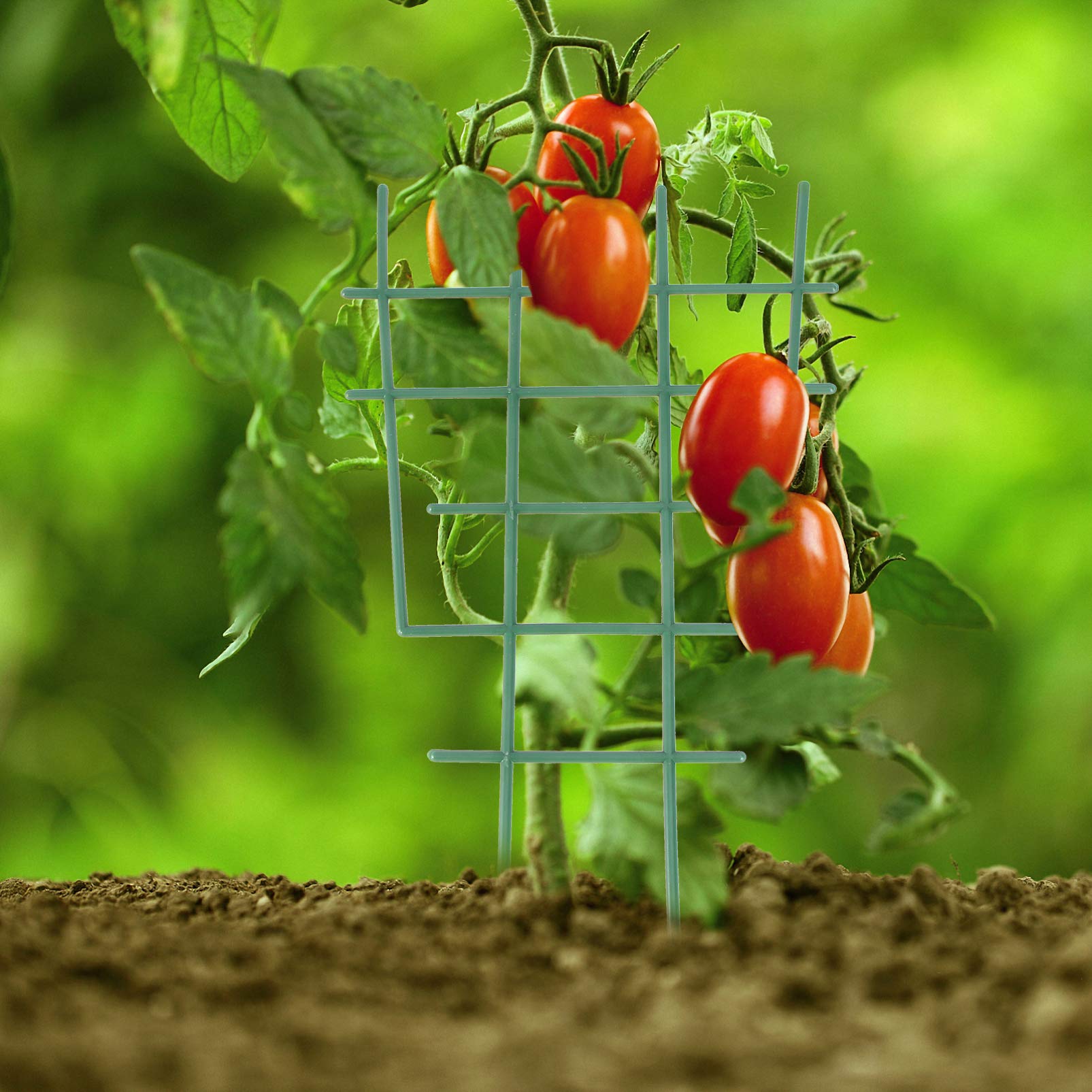 20pcs Plastic Plant Support Frame - Climbing Trellis for Indoor & Outdoor Flower Pots, Garden Planters, Vine Support Rack - Perfect for Tomatoes, Cucumbers, Roses and Climbing Plants in Home Gardens or Balconies
