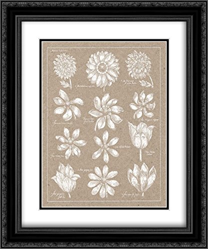 Wild Apple Portfolio 15x17 Black Ornate Framed Double Matted Museum Art Print - Anemone Plate II - Elegant Wall Decor for Living Room, Bedroom & Office