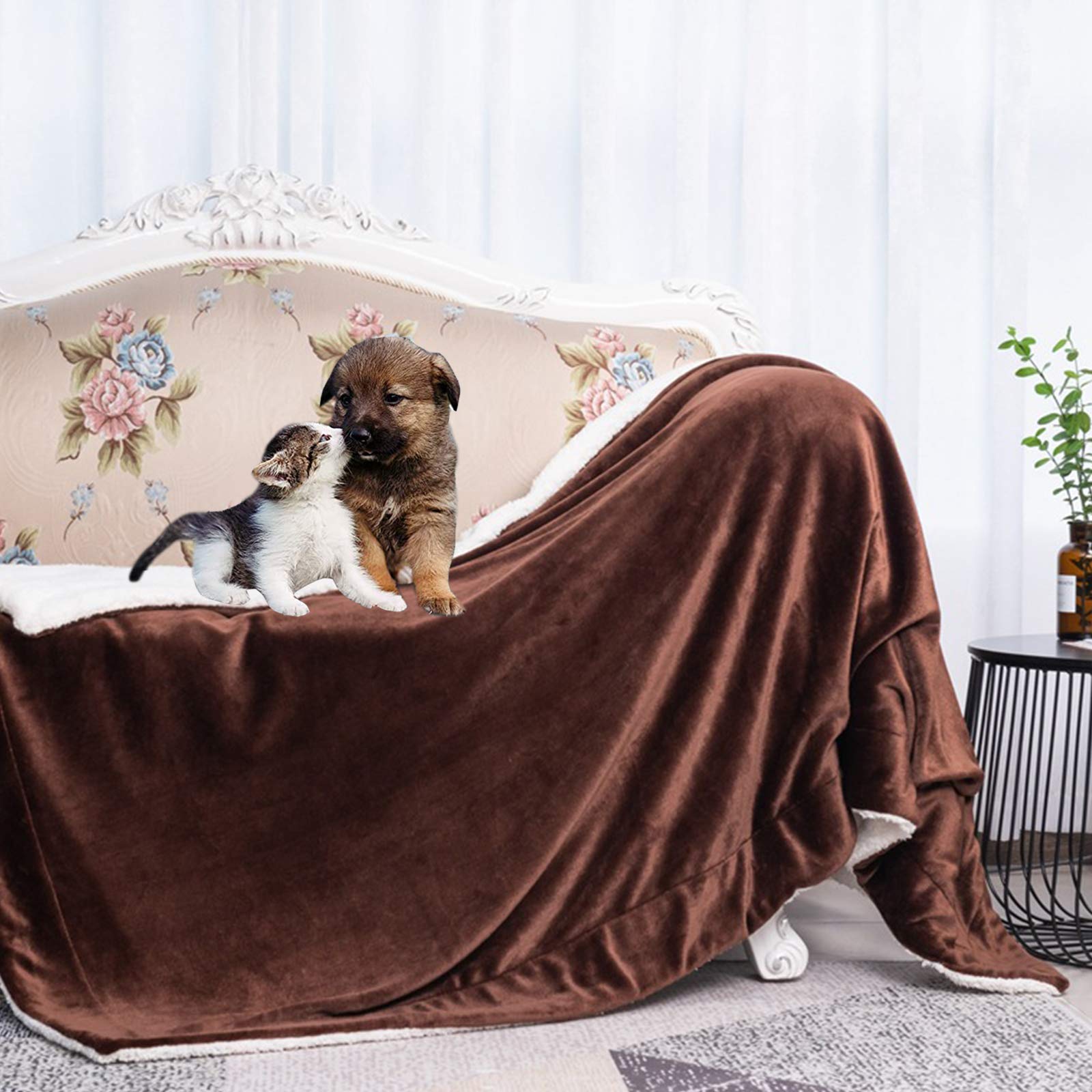 Waterproof Pet Blanket for Dogs & Cats - Soft Sherpa Fleece Dog Blanket for Medium Dogs, Puppies & Small Cats | Machine Washable Waterproof Pet Throw for Bed, Couch & Sofa | Perfect for Indoor & Outdoor Use, Travel & Car Rides