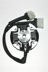 Selettra Ignition Coil - High Performance Replacement for Cars & Trucks - Perfect for Engine Repair & Maintenance - DIY Auto Parts Upgrade