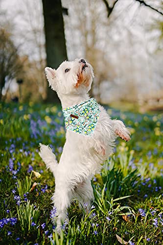 Lionheart Glory Washable Soft Cotton Lemon Flower Dog Bandana - Adjustable Kerchief Scarf for Small Dogs | Perfect for Pet Fashion, Grooming & Special Occasions