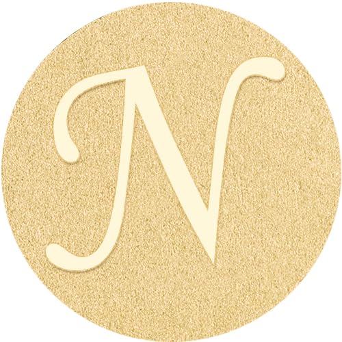 N Tie Pins