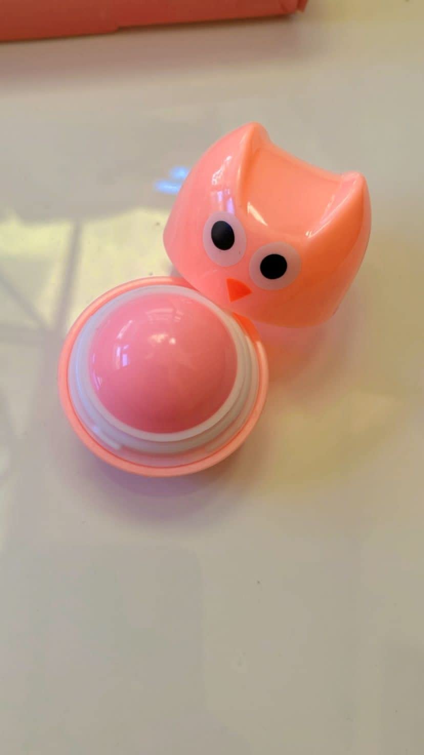 Owl Shaped Fruit Lip Balm Set - 2 Pack Random Flavors | Natural Moisturizing Lip Care for Kids & Adults | Perfect for School, Travel & Gifts