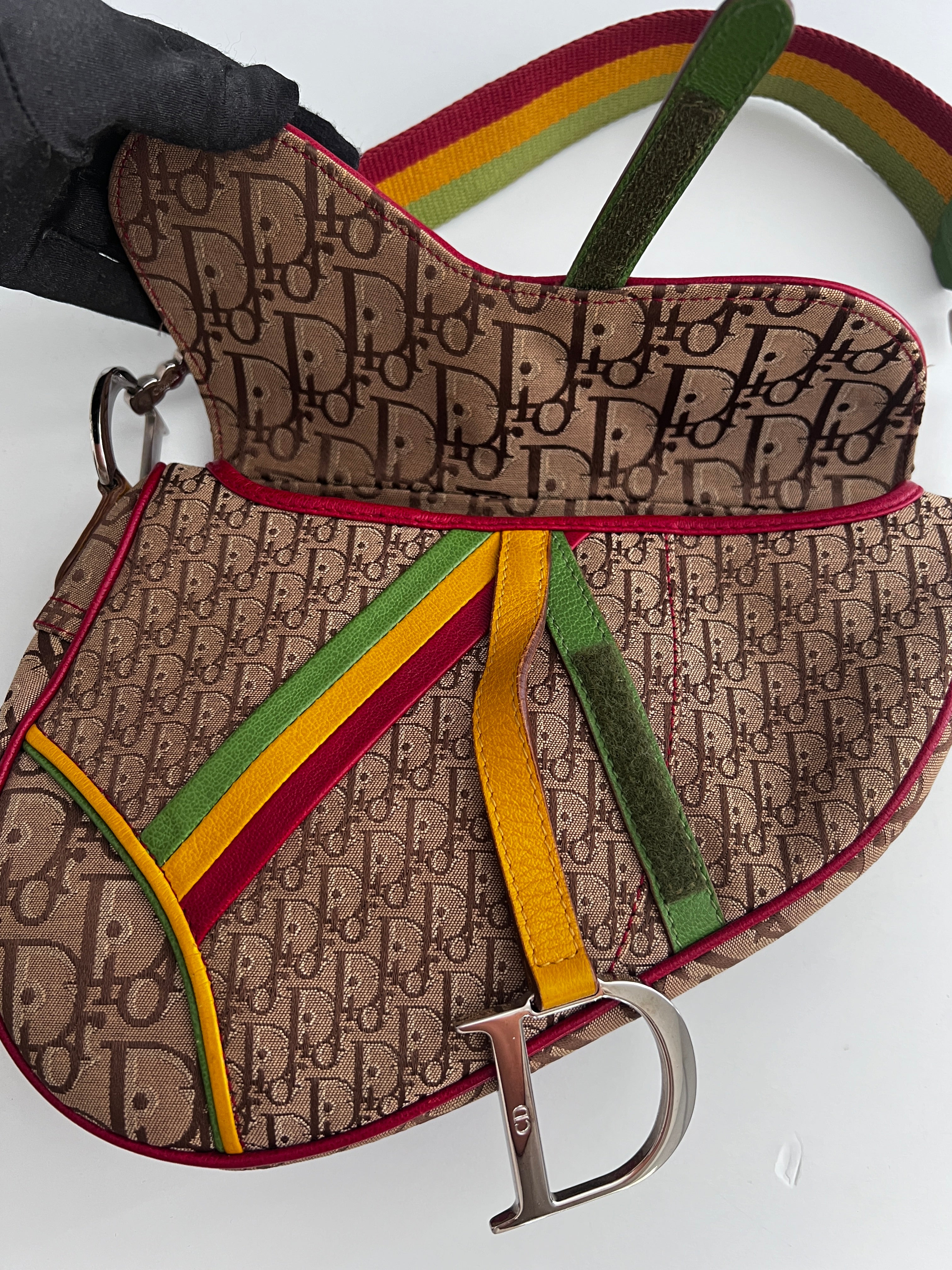 Dior Rasta Saddle Bag - Luxury Designer Handbag for Women | Fashionable Crossbody & Shoulder Bag for Parties, Travel & Everyday Use