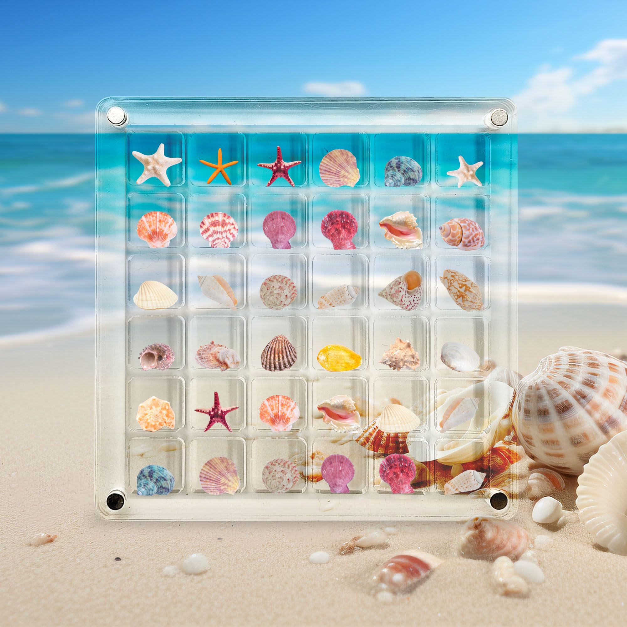 Acrylic Magnetic Seashell Display Box - 36 Grid Clear Shadow Box for Jewelry, Collectibles & Crafts | Multifunctional Organizer Case for Beach Decor, Gift Packaging & Retail Displays