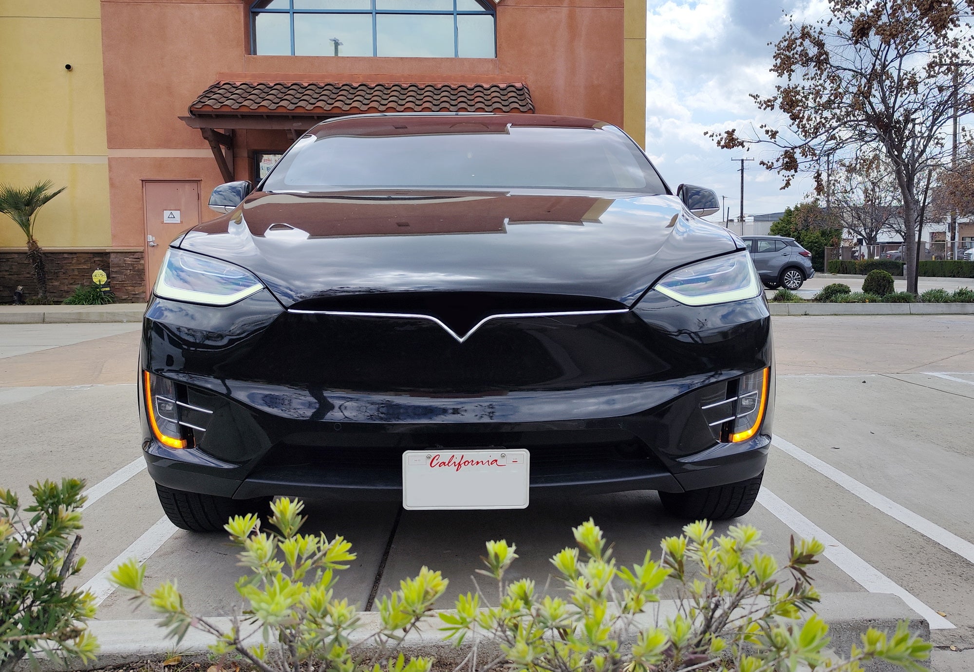 Premium Front Lower Bumper Grille Mesh Mount License Plate Bracket for Tesla Model S & X - Durable Car Accessory for Enhanced Style & Protection (Perfect for Road Trips & Daily Commuting)