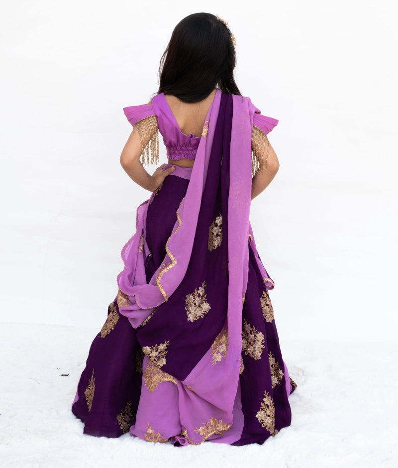 Pre Order: Lilac & Purple Embroidered Lehenga Set for Women - Indian Bridal Wear, Wedding Guest Outfit, Festive Party Dress, Diwali & Holi Celebration Costume